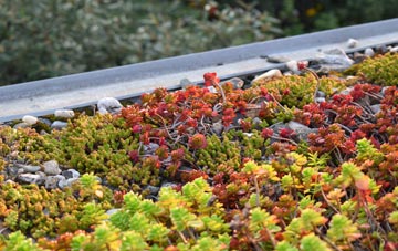 the cost of Over Burrow green roof installation