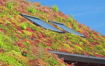 Over Burrow living roof systems